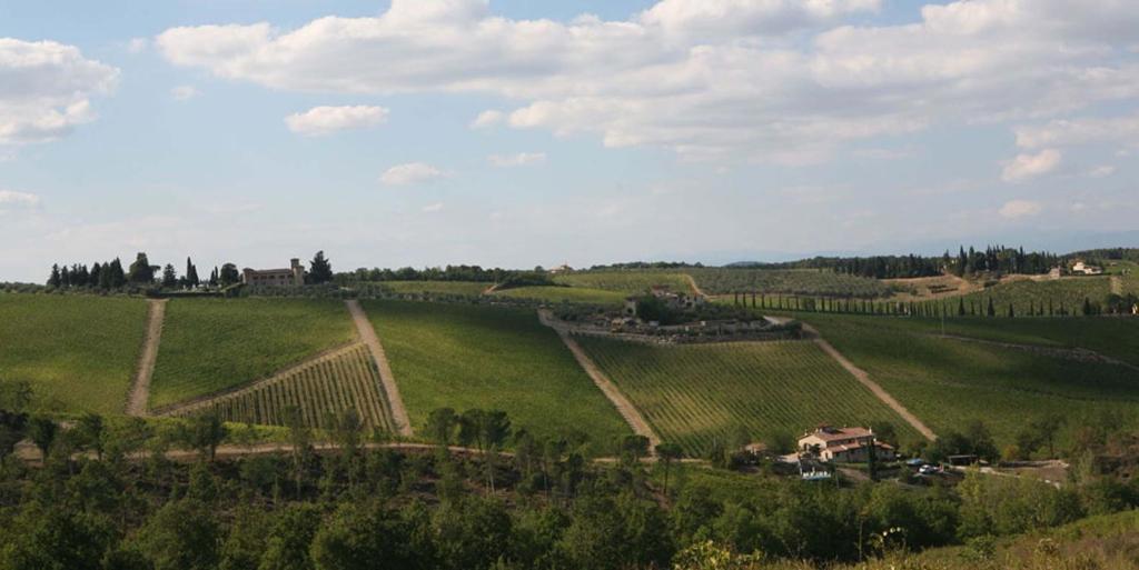 Il Vichiaccio Country House Impruneta Εξωτερικό φωτογραφία